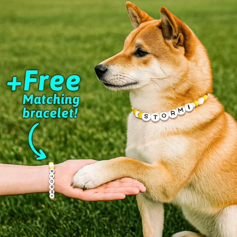 Pet Supplies
