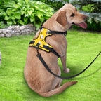 Custom Dog Harness Adjustable Reflective Vest No Pull Dog Harness Gift for Pet Lovers